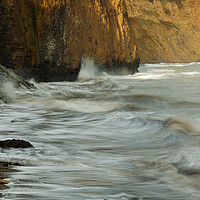 Buy canvas prints of SPLASHING IN by andrew saxton
