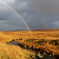 Buy canvas prints of LOOK TWO RAINBOWS by andrew saxton