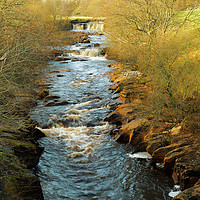 Buy canvas prints of THE SWALE FLOW by andrew saxton