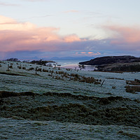 Buy canvas prints of FROST ON SKYE by andrew saxton