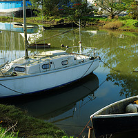 Buy canvas prints of MOORED AT GWEEK by andrew saxton