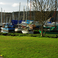 Buy canvas prints of GWEEK BOAT YARD by andrew saxton
