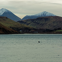 Buy canvas prints of LOCH CARBOST by andrew saxton
