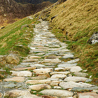 Buy canvas prints of ROUGH PATH by andrew saxton