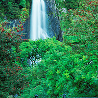 Buy canvas prints of SHUT FALLS by andrew saxton