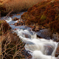 Buy canvas prints of BRAMBLE WATERFALL by andrew saxton