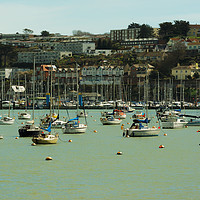 Buy canvas prints of BRIXHAM BOATS. by andrew saxton
