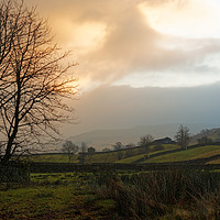 Buy canvas prints of SUN UP SWALEDALE  by andrew saxton
