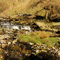 Buy canvas prints of BRANTS GILL WATERFALL by andrew saxton