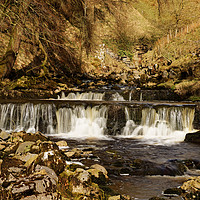 Buy canvas prints of HORTON GILL FALLS by andrew saxton