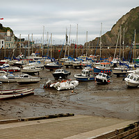 Buy canvas prints of ILFRACOMBE HARBOUR  by andrew saxton