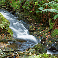 Buy canvas prints of WAITHE WATER by andrew saxton