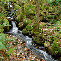 Buy canvas prints of AUTUMN STREAM  by andrew saxton