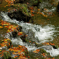 Buy canvas prints of WATER IN AUTUMN by andrew saxton