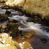 Buy canvas prints of RIBBLESDALE FLOWING by andrew saxton