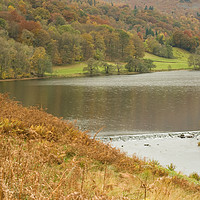 Buy canvas prints of RYDAL AUTUMN by andrew saxton