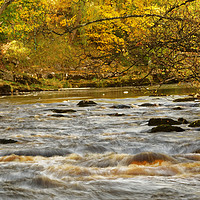 Buy canvas prints of AUTUMN WATER, by andrew saxton