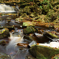 Buy canvas prints of WATERFALL LEAVES by andrew saxton