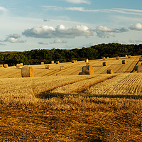 Buy canvas prints of ROLLED STRAW by andrew saxton