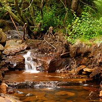 Buy canvas prints of SMALL BECK  by andrew saxton