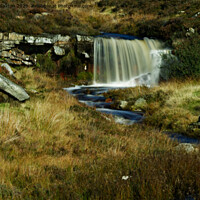 Buy canvas prints of waterfall to water by andrew saxton