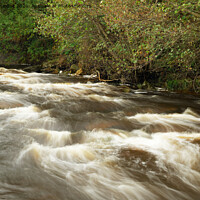 Buy canvas prints of RAPID WATER by andrew saxton