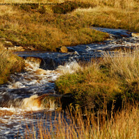 Buy canvas prints of Fylingdales waterfalls by andrew saxton