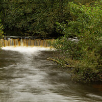 Buy canvas prints of GOATHLAND WATERS by andrew saxton
