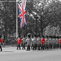 Buy canvas prints of Trooping the Colours. by John Morgan