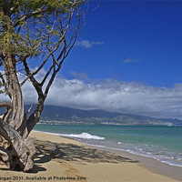 Buy canvas prints of Hawaii beach. by John Morgan