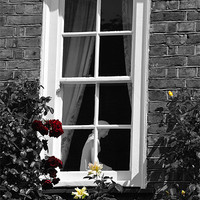 Buy canvas prints of Rose Window. by John Morgan