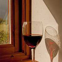 Buy canvas prints of Red Wine shadow. by John Morgan