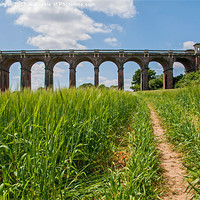 Buy canvas prints of Balcombe Viaduct, The Ouse Valley, sussex. by John Morgan