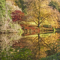 Buy canvas prints of Autumn colours. by John Morgan
