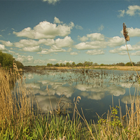 Buy canvas prints of  Clouds over the Levels. by John Morgan