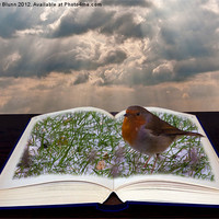Buy canvas prints of Pop-up open Book with Robin by Peter Blunn