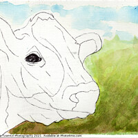 Buy canvas prints of Original Art - Karla the Cow by Maria Tzamtzi by Maria Tzamtzi Photography