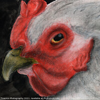 Buy canvas prints of Original Art - Hen Close up by Maria Tzamtzi Photography
