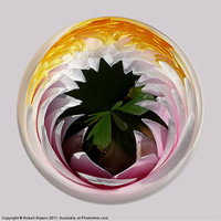 Buy canvas prints of Spherical Glass paperweight Lillysphere by Robert Gipson