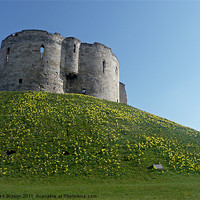 Buy canvas prints of City of York Clifford's Tower Historic building. by Robert Gipson
