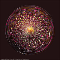 Buy canvas prints of Spherical Paperweight sunflower by Robert Gipson
