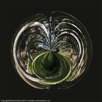 Buy canvas prints of Spherical Paperweight tangled wood by Robert Gipson