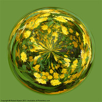 Buy canvas prints of Abstract Yellow flower paperweight by Robert Gipson