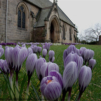 Buy canvas prints of Church of Crocus by Robert Gipson