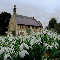 Buy canvas prints of Church in snowdrops by Robert Gipson