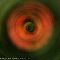 Buy canvas prints of Spinning Disc by Robert Gipson