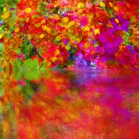 Buy canvas prints of Potpourri in reflection by Robert Gipson