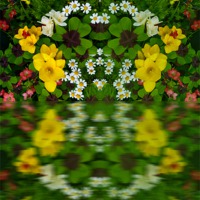 Buy canvas prints of Summer Flowers in reflect by Robert Gipson