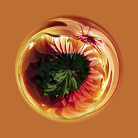 Buy canvas prints of Helichrysum globe by Robert Gipson