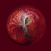Buy canvas prints of Strawberry from the inside by Robert Gipson